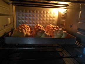 放入预热好的烤箱中下层上火160度下火180度，烘烤20分钟