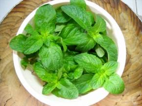 准备好薄荷尖。