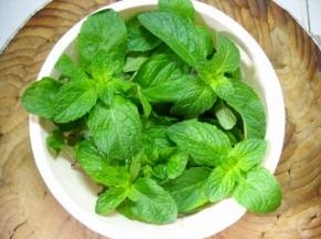 准备好薄荷尖。