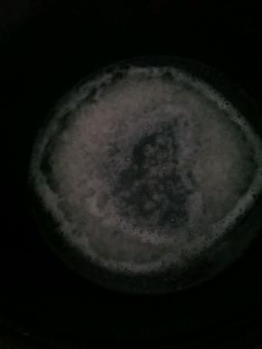 大米洗净放入电饭煲中，加入两碗清水，稀饭模式。