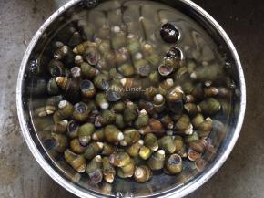 先将田螺提前放入清水中养去沙土（时间越长越干净，中途可换水，有助清洗干净）