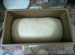 发酵至模具九分满