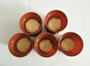 杯子里放入一片蛋糕片