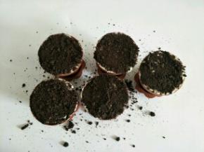 撒上奥利奥碎，用薄荷或者仿真花装饰