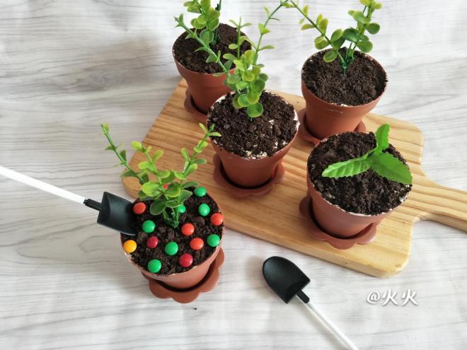 盆栽蛋糕(附八寸戚风蛋糕做法)