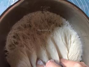 扯开有蜂窝状组织即为发酵成功
