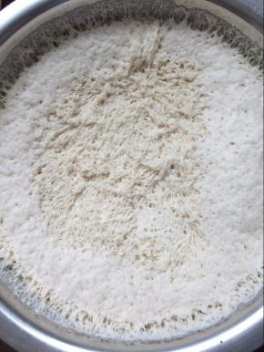 面粉加入酵母，加入水，和成一个光滑的面团，盖上保鲜膜，放在温暖处发酵至2倍大。