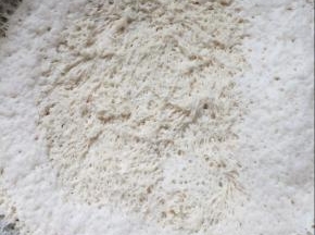 面粉加入酵母，加入水，和成一个光滑的面团，盖上保鲜膜，放在温暖处发酵至2倍大。