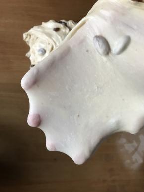 再用面包机一个程序出手套模