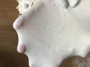 再用面包机一个程序出手套模