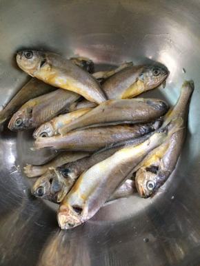 准备食材小黄花鱼