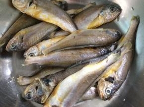 准备食材小黄花鱼