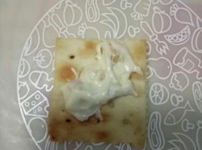放在一块饼干上