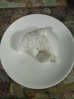 米饭用海豚模具压出造型