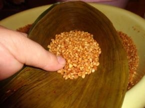 然后再放点米把肉盖住。米和漏斗口持平即可，太少了粽子很瘪，太多了包不住。