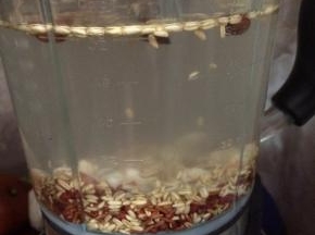 加入约1250Ml的清水