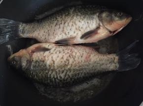 放入清洗好的鲫鱼
