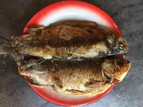 煎至两面金黄即可控油待用
