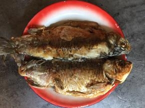 煎至两面金黄即可控油待用
