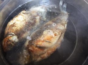 接着放入煎好的鲫鱼
