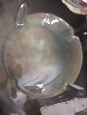 然后加入适量的水