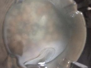 然后加入适量的水