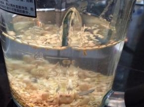 启动破壁机，开启豆浆功能