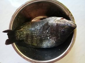 鱼刮鳞，收拾内脏洗净。