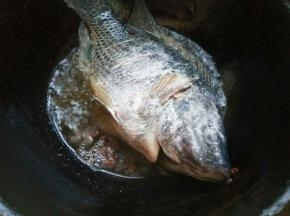 起锅热油，放入鱼。一边煎炸，一边用小勺舀锅里的热油，淋在鱼身上。