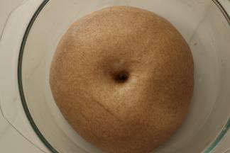 发酵至两倍大，戳洞且不回缩得状态。