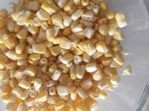 玉米剥粒粒，放锅里蒸10分钟