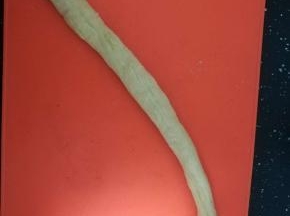 取一个面团搓成均匀的长条。