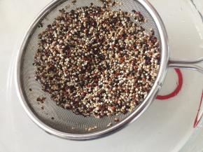 跑完后洗一下沥干水