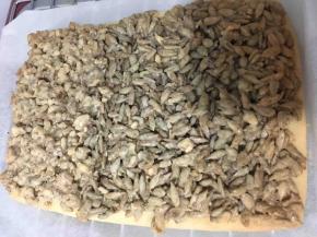 将葵花籽馅铺在烤好的饼底面团上。用刮刀抹平表面。