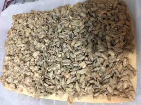 将葵花籽馅铺在烤好的饼底面团上。用刮刀抹平表面。
