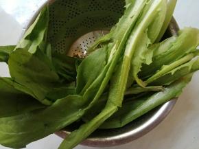 油麦菜洗净控水。