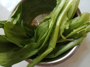 油麦菜洗净控水。