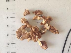 核桃剥出核桃仁