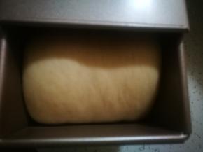 发酵到8分满，烤箱预热170度，上下火30分钟，盖上盖子哦，这样可以避免中途加锡纸