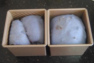 发酵至9分满模具，烤箱170度预热，放入烤箱中下层烤制30分钟即可