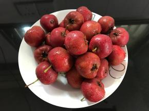 把买回来的山楂清洗干净。