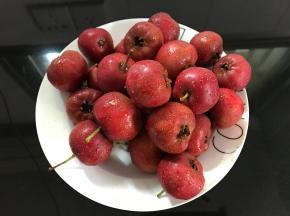 把买回来的山楂清洗干净。