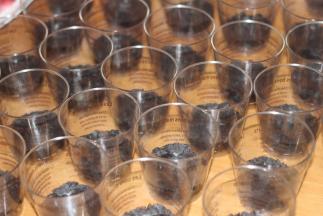 填入幕斯杯底压实