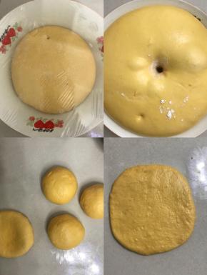 放入大碗里盖上保鲜膜送进发酵箱，在27度的环境下发酵二倍大。
用手指沾面粉戳洞洞口不回缩不塌陷就好。