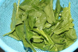 将菠菜洗净，根部去除