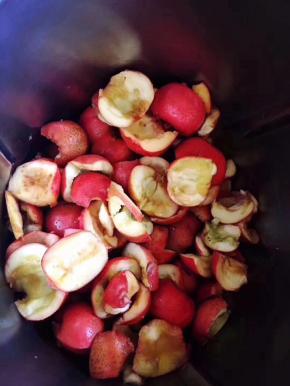 加入500克洗净，去籽的山楂