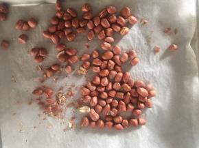 红皮花生放入烤箱120度烤20分钟