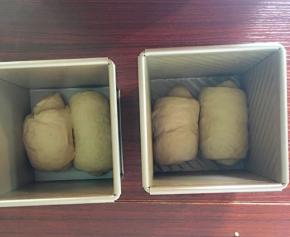 放入学厨水立方里