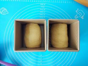 把卷好的面团，收口朝下放入模具里