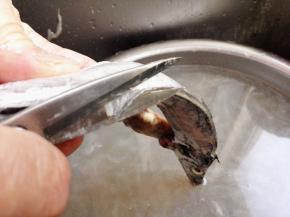 2.	再用翦刀剪去带鱼侧面的鱼鳍，然后剪开鱼肚子，去掉内脏，剪掉带鱼嘴，防止刮伤手，鱼鳃也要去干净，